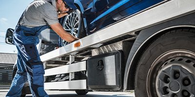 Vehicle Auction Collection